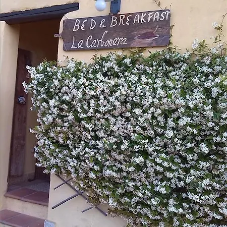 La Carbonara 6 Frühstückspension Bardolino