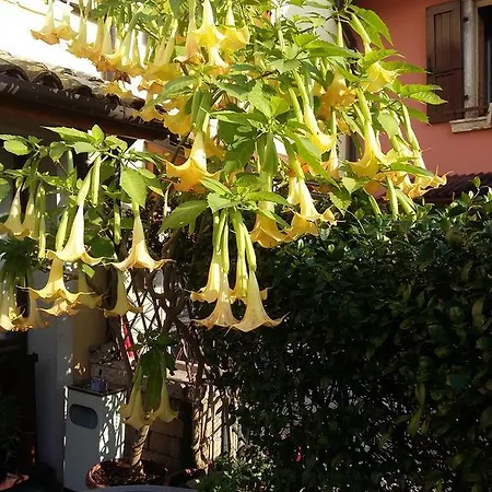 La Carbonara 6 Bardolino